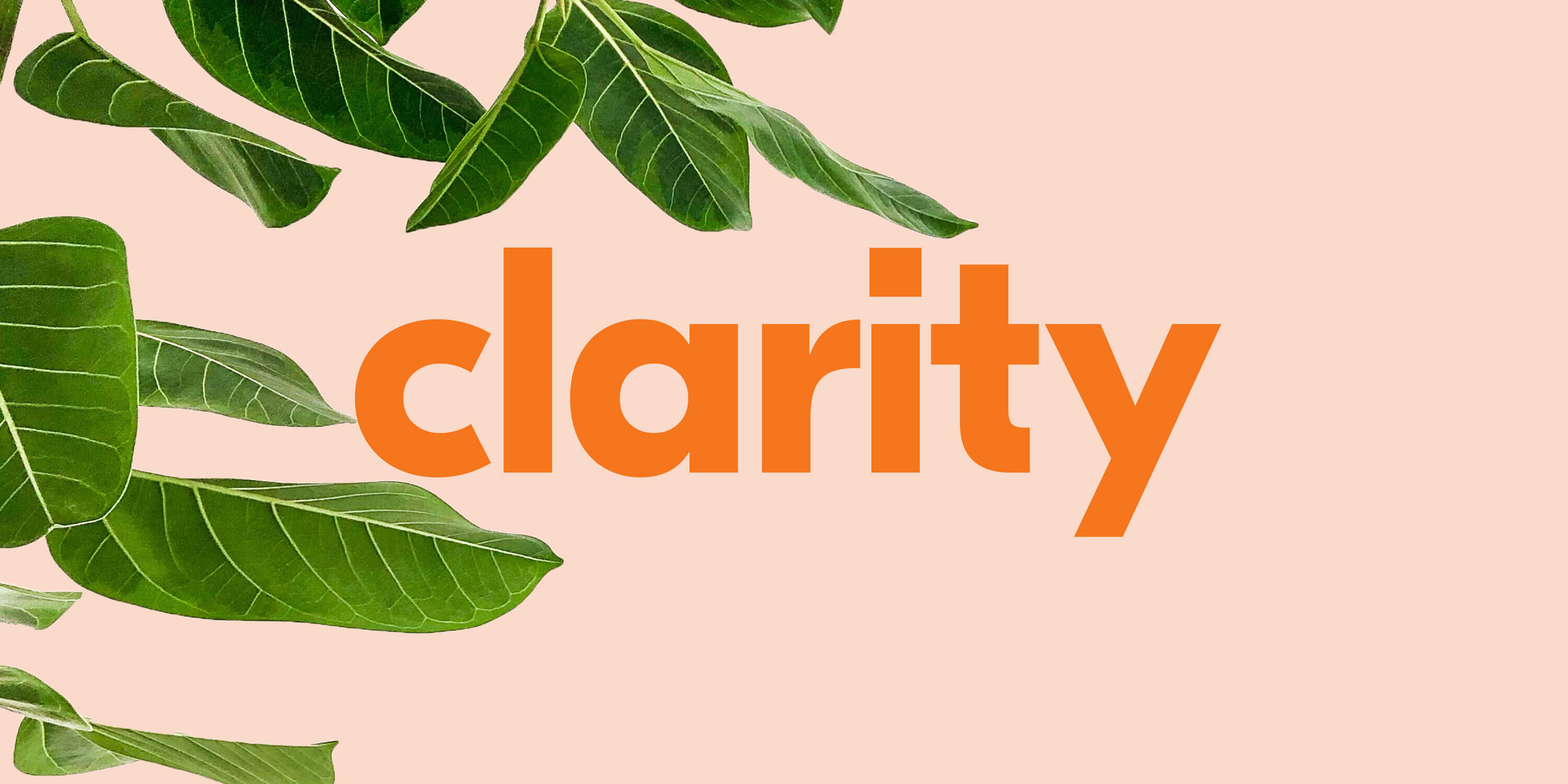 Clarity Staffing wordmark with some green leaves behind it